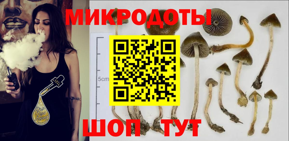 Псилоцибиновые грибы Psilocybine cubensis Ханты-Мансийск